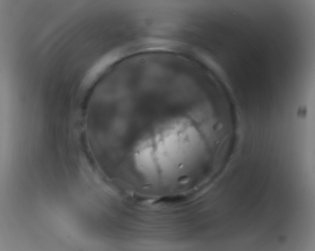 X0000114171411200910151626