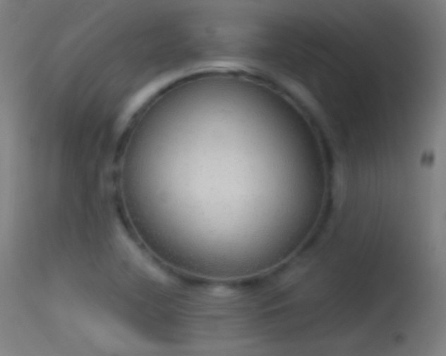 X0000114171412200910151626
