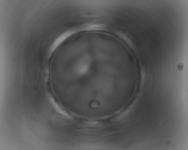 X0000114171413200910151626
