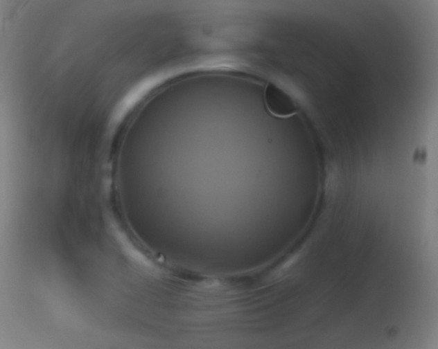 X0000114171414200910151626