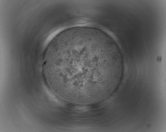 X0000114171415200910151626