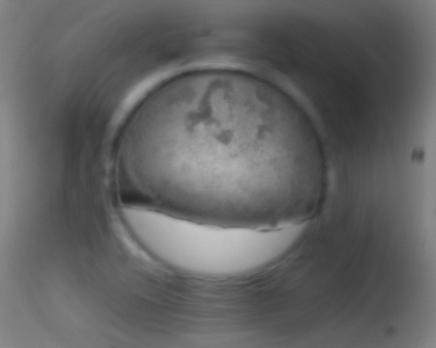 X0000114171416200910151626