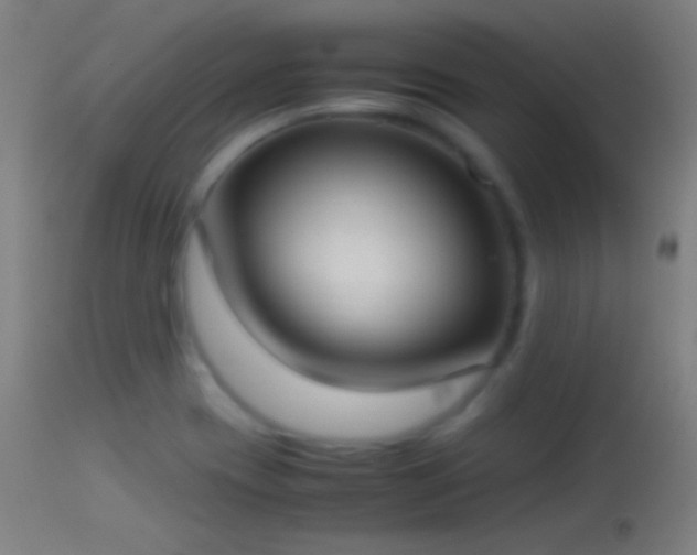 X0000114171417200910151626