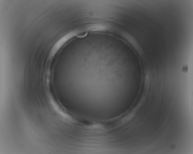 X0000114171418200910151626