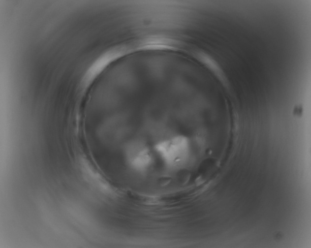 X0000114171419200910151626
