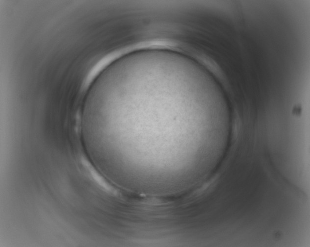 X0000114171420200910151626
