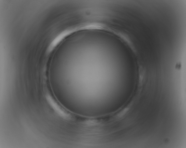 X0000114171422200910151626
