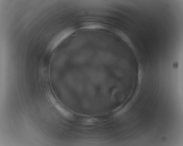 X0000114171425200910151626