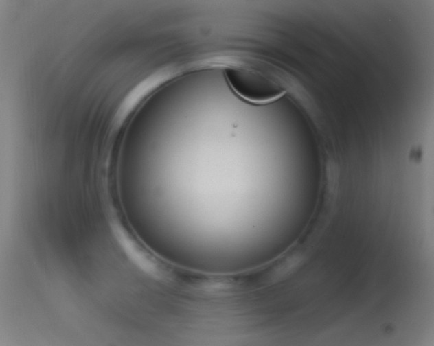 X0000114171426200910151626