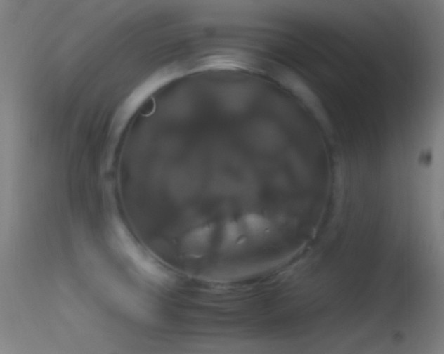 X0000114171427200910151626