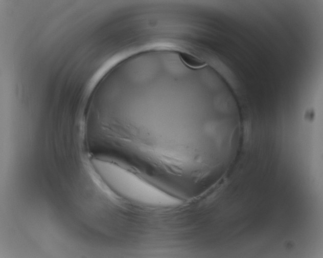 X0000114171428200910151626