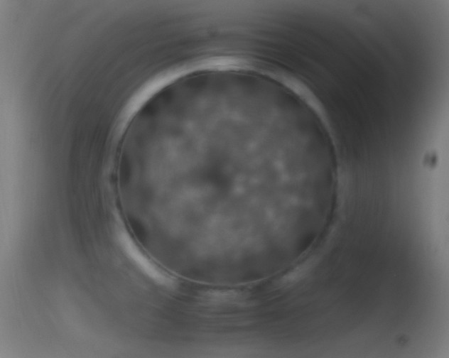 X0000114171429200910151626