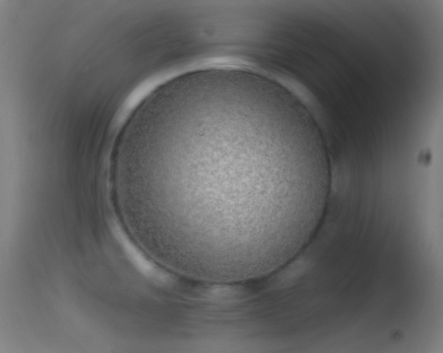 X0000114171430200910151626