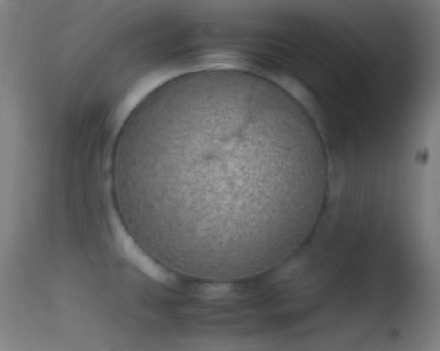 X0000114171431200910151626