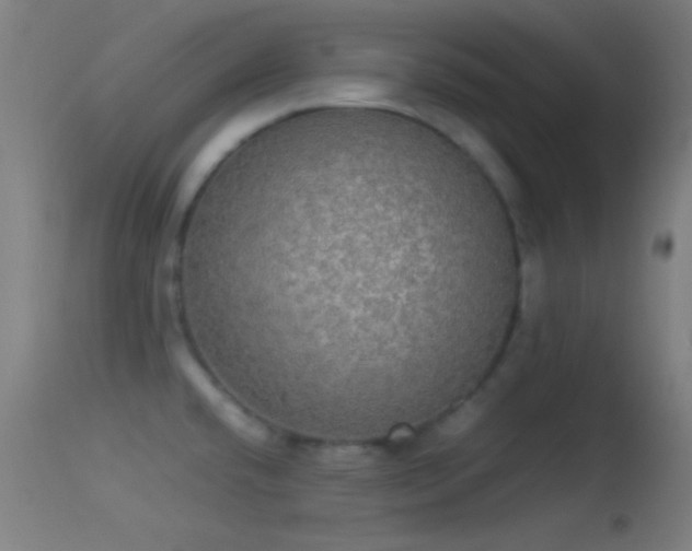 X0000114171432200910151626