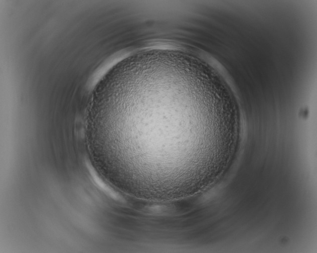X0000114171433200910151626
