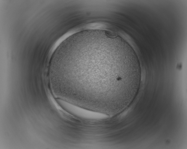 X0000114171434200910151626
