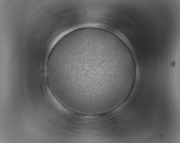 X0000114171436200910151626
