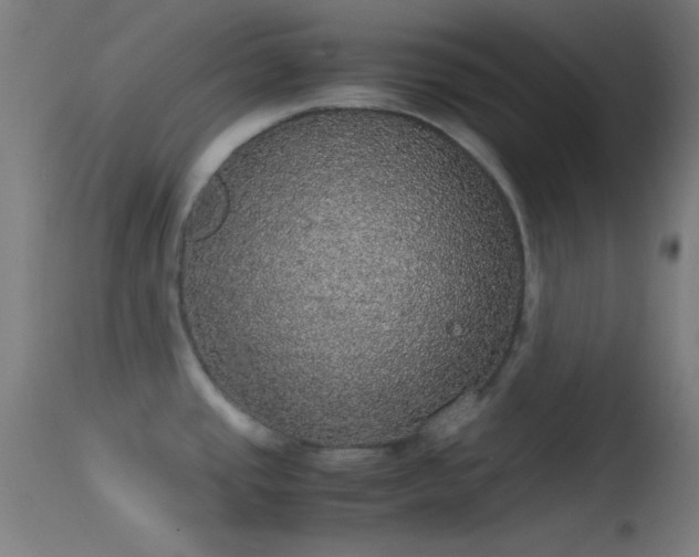 X0000114171437200910151626