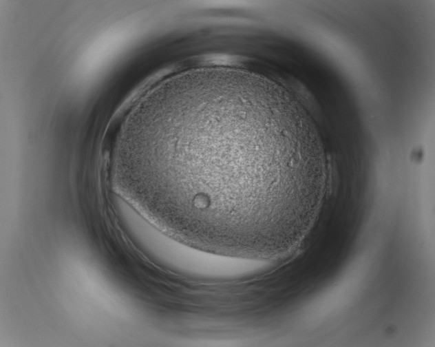 X0000114171438200910151626