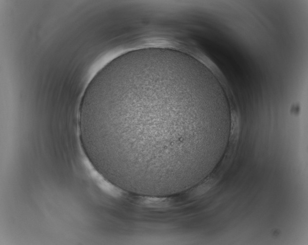 X0000114171439200910151626