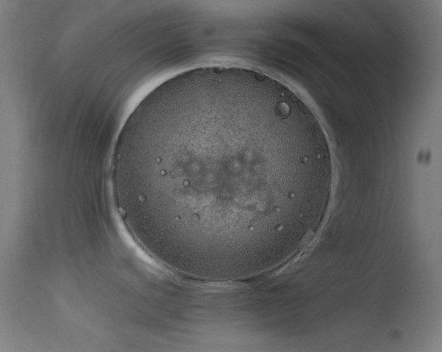 X0000114171440200910151627