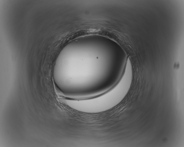 X0000114171441200910151626