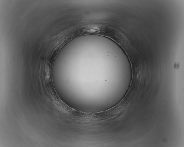 X0000114171442200910151626