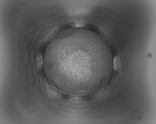 X0000114171443200910151626