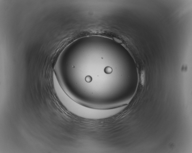 X0000114171444200910151626