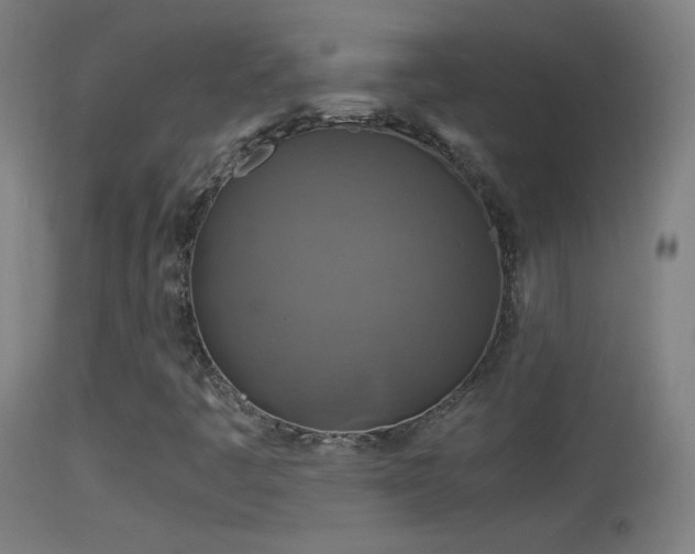 X0000114171445200910151626