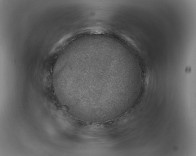 X0000114171446200910151626