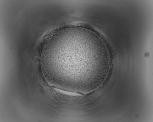 X0000114171447200910151626
