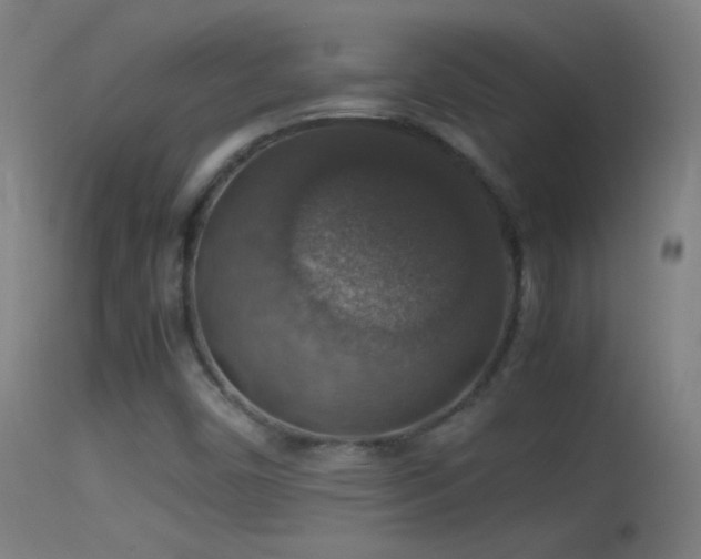 X0000114171450200910151626