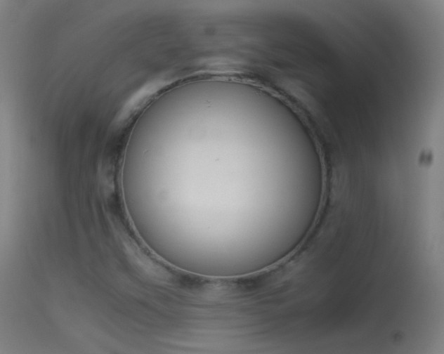 X0000114171451200910151626