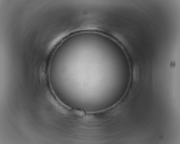 X0000114171452200910151626