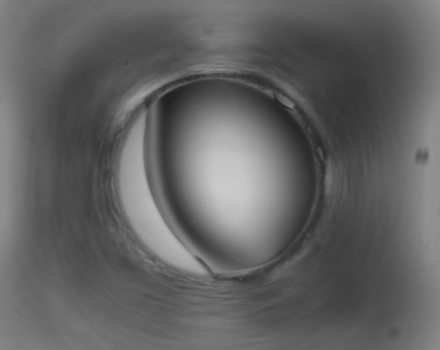 X0000114171453200910151626