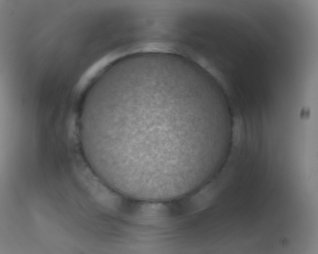 X0000114171454200910151626