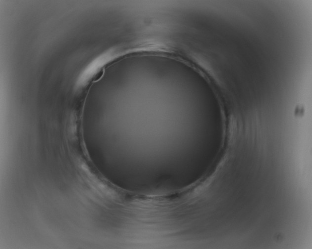 X0000114171455200910151625