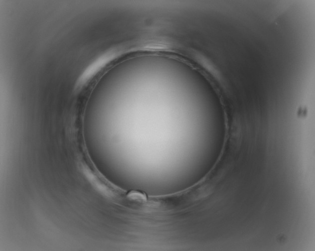 X0000114171456200910151625