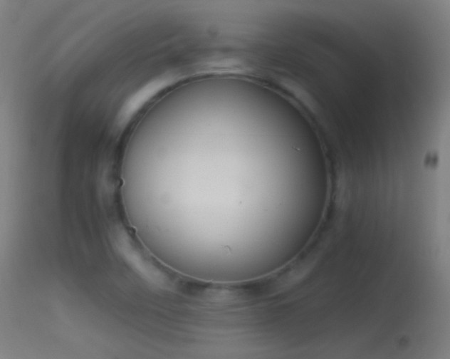 X0000114171458200910151625