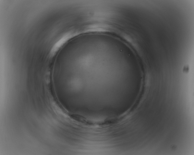 X0000114171459200910151625