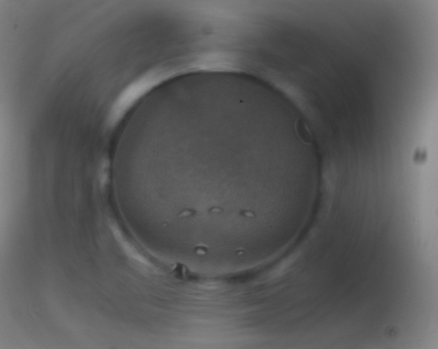 X0000114171461200910151625