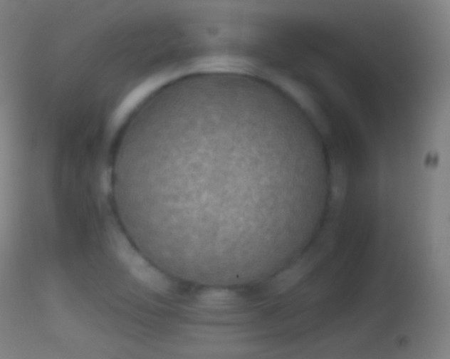 X0000114171462200910151625