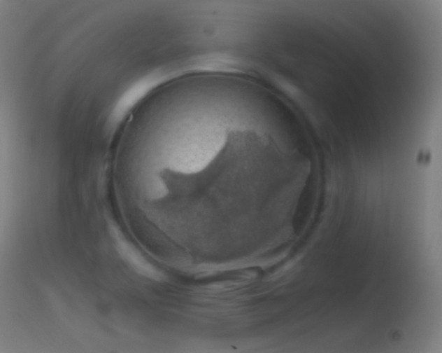 X0000114171463200910151625