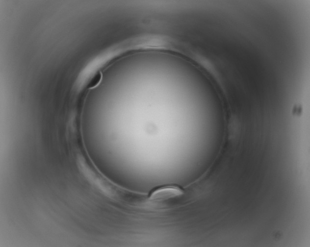 X0000114171464200910151625