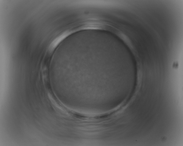 X0000114171465200910151625