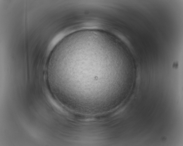 X0000114171467200910151625
