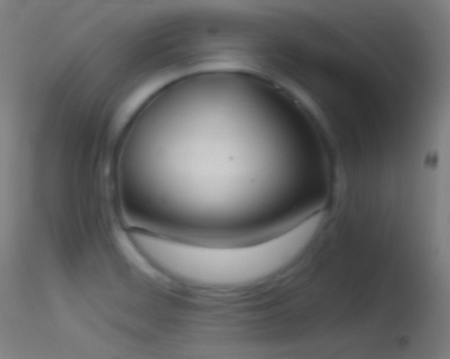 X0000114171468200910151625
