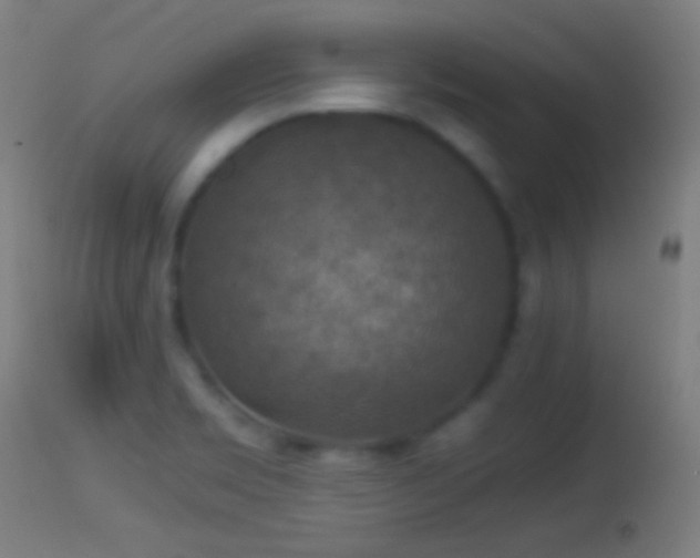 X0000114171469200910151625